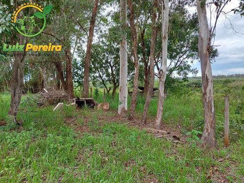 Imagem 3 de 10 de Fazenda À Venda Em Ribas Do Rio Pardo - Ms - De 290 Hectares (pecuária) - 1774