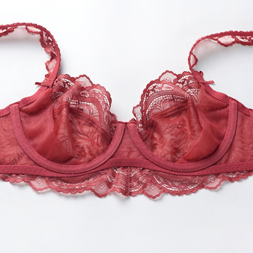 Set De Sujetador Ultra Fino De Encaje Transparente De 2 Piez