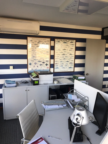 Venta O Alquiler Apartamento/ Oficina 3 Ambientes Carrasco