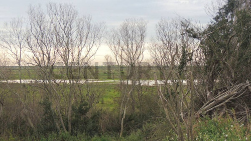 Lomas Del Parana, Barrio Nautico