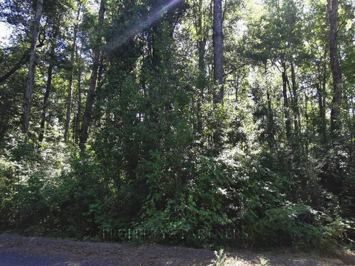 Hermosa Parcela A 4 Km De Pucón