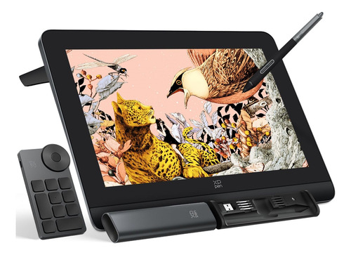 Xppen Artist Pro 16 Gen2 2.5k 16 Pulgadas Qhd Tableta De ...