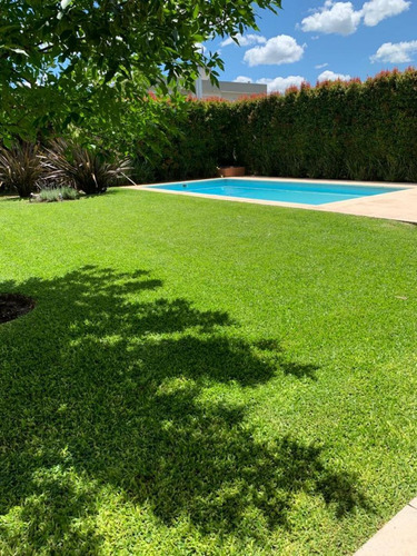 Imagen 4 de 15 de Casa En Alquiler O Venta, Hsm - Los Eucaliptus