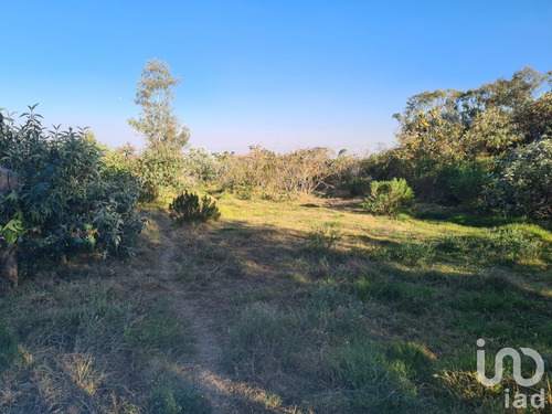 Venta Terreno 0 Ambiente Las Ánimas (ex-hacienda Las Ánimas)