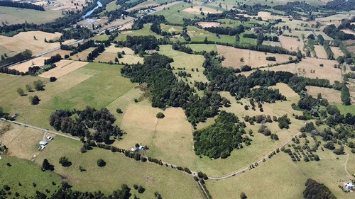 Parcela De 28 Hectáreas Subdividio En 50 Lotes En Puyehue