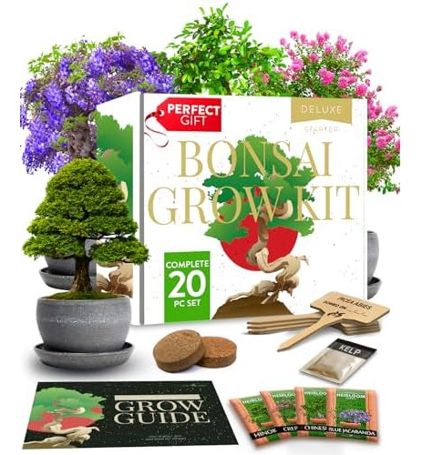 Bonsai Tree Kit  Easy To Grow 4 Species Of Bonsai W/...
