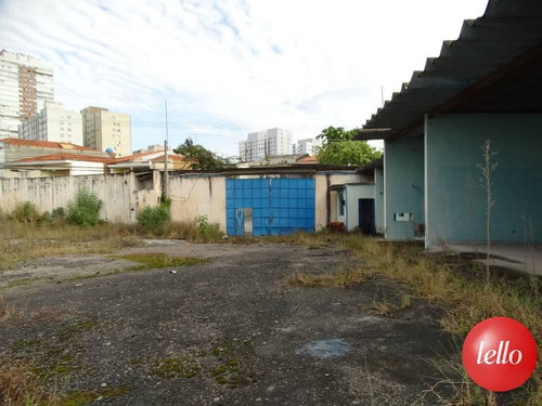 Imagem 5 de 7 de Terreno - Ref: 11184