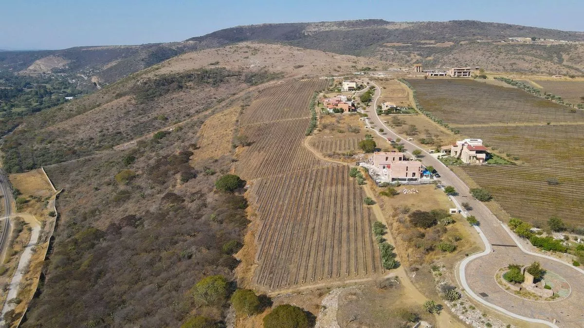 Lote Cabernet En Venta, Viñedo San Miguel En San Miguel De A