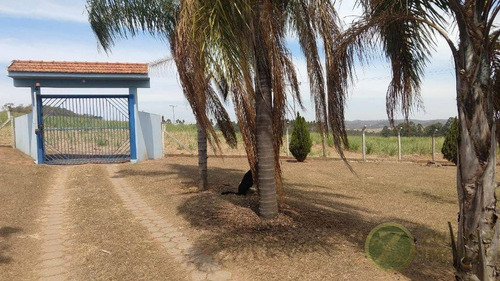 Imagem 11 de 30 de Venda: Ótima Propriedade Rural Entre Agudos-bauru - Si00006