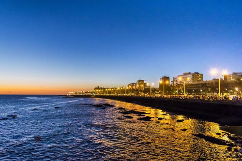 Venta Local Comercial Con Renta En Montevideo