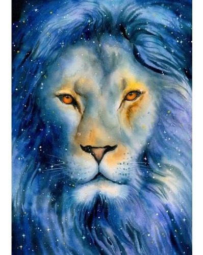 León Con Estrellas Rompecabezas 1000 Piezas Enjoy Puzzle