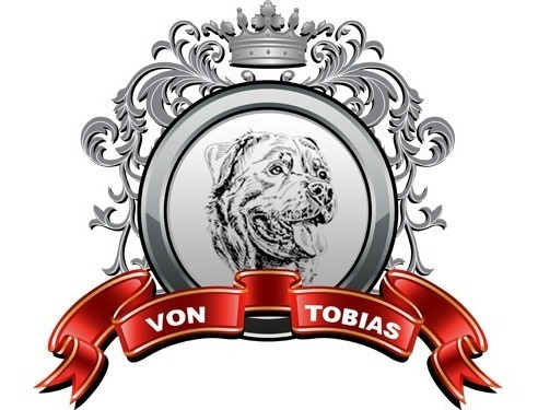 Rottweiler Filhotes Com (60 Dias)frete Gratis