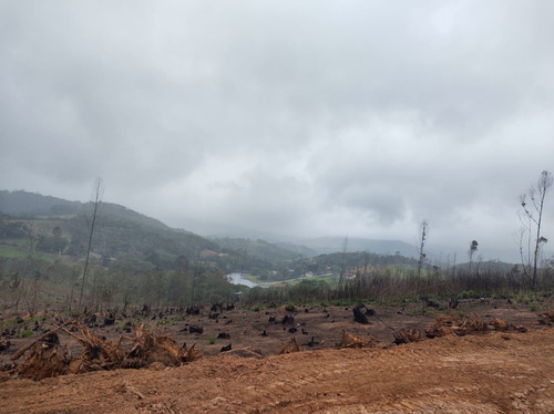 Imagem 5 de 14 de Jl- Terreno Próximo A Represa
