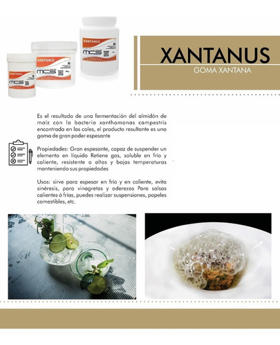 Goma Xantana 100g (xantanus) Cocina Molecular