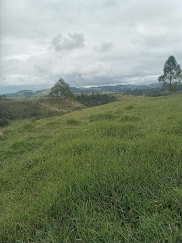 Imagem 13 de 14 de A22- Últimos Lotes Em Jacareí