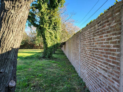 Imagen 11 de 13 de Terreno En Venta