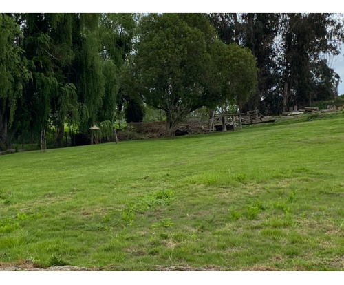 Venta De Parcela Con Piscina En Codigua $85.000.000