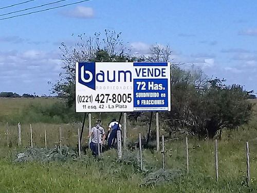 Ruta 2 Km 89 - 72 Has (500mts Sobre Ruta) - Baum Propiedades