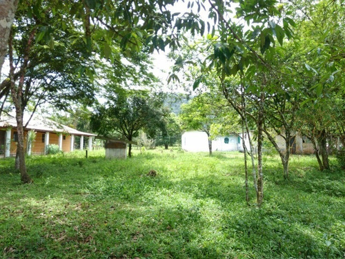 Imagem 2 de 14 de Terreno De Chacara - 0 - 4410795