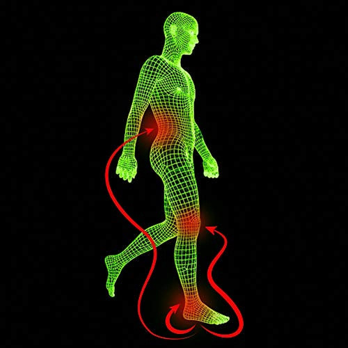 Profoot Plantilla De Alivio Del Estrés Mujer 6 10 1 Par 2 X