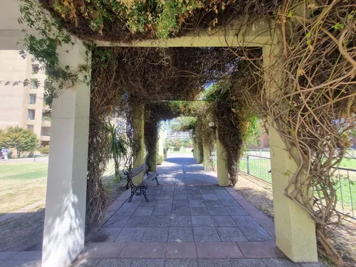 Arriendo Alto Del Valle