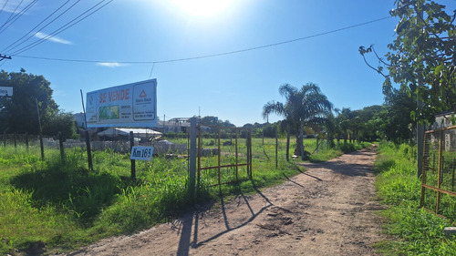 Importante Predio En Venta! Sobre AutovĂa