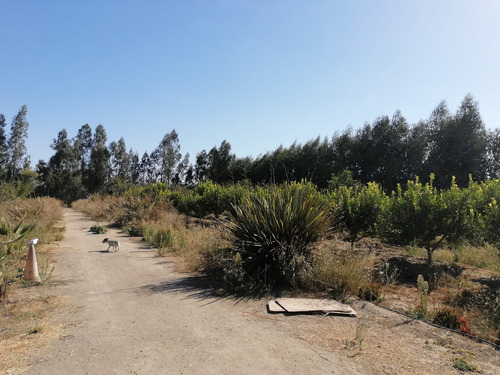 Venta Casa 9hab 7ba Las Cabras