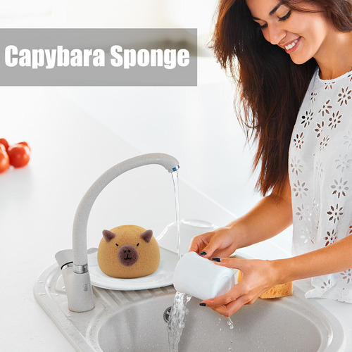 A Esponja De Baño Carpincho Esponja De Baño Esponja