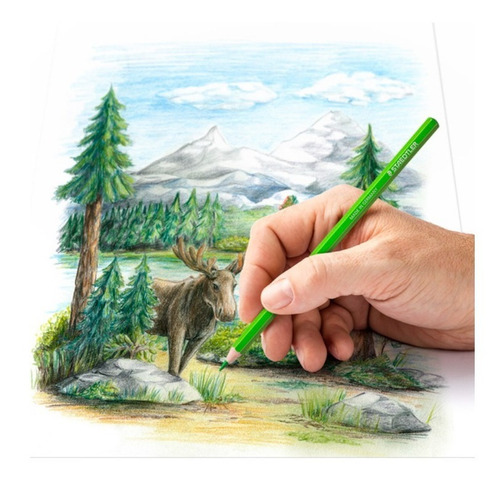 Lapices Alemanes De Colores Staedtler Con 24 Piezas