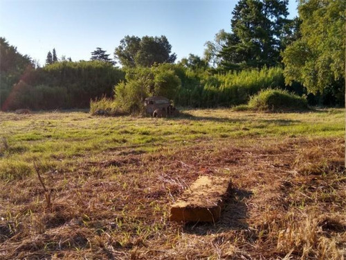En Venta- Espectacular Lote Con 3 Propiedades