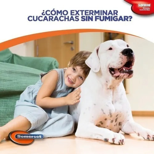 Jeringa Somerset Gel Mata Cucarachas 6gr F R