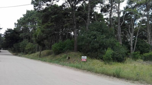 Imagen 4 de 15 de Lote De 1000 M2 A 250 Mts. Del Mar - Mar De Las Pampas | Cod.0352 |