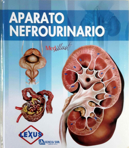 Aparato Nefrourinario, Atlas De Anatomía, Fisiología