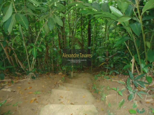 Imagem 19 de 25 de Casa - Ca00092 - 71129479