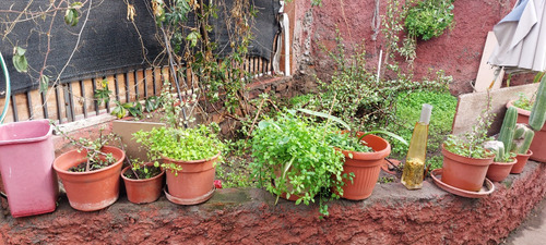 Casa 2d, 1b Con Antejardín Y Amplio Patio