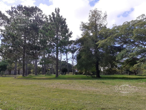Imagen 4 de 7 de Terreno De 1.000 M2 En Beverly Hills, Punta Del Este.
