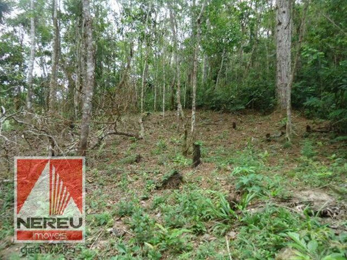 Imagem 3 de 4 de Terreno Juquitiba Ótimo Para Formar Chácara - 877