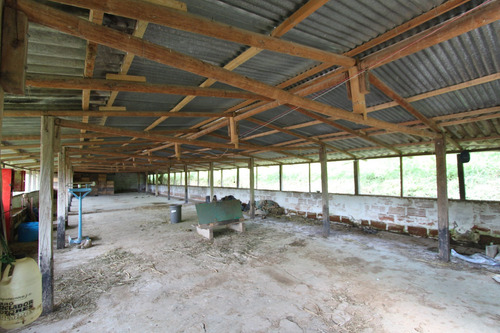 Imagen 14 de 20 de Finca Con Galpones En Marinilla