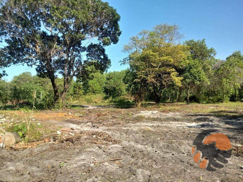 Terreno À Venda, 20.000m² De Frente Para Avenida Paris - Guarapari/es - Te0128