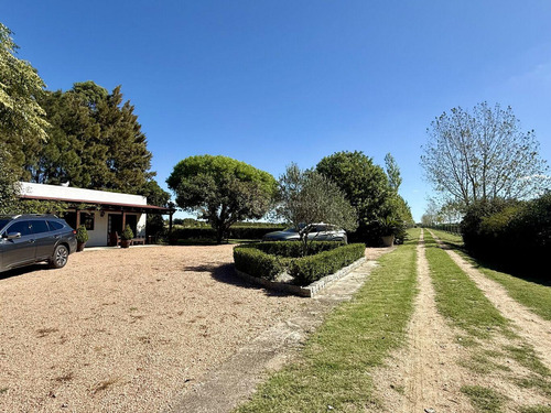Chacra Haras Venta 11 Has Pando, Canelones