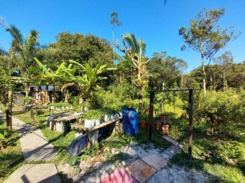 Imagem 4 de 12 de Chácara Com Lago E Árvores Frutiferas Em Itanhaém Litoral