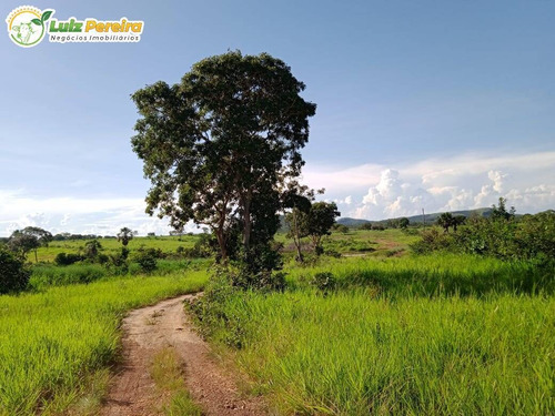 Imagem 2 de 15 de Fazenda Em Breu Branco - Pa - 2.584,56 Hectares (dupla Aptidão) - 2158