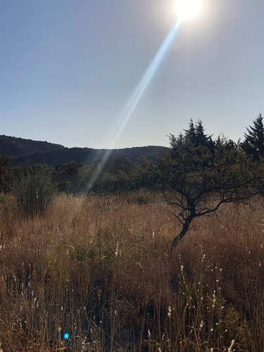 Imagen 6 de 15 de Lote De 1250 M2 En Barrio Los Olivares De Los Hornillos / Traslasierra Con Escritura