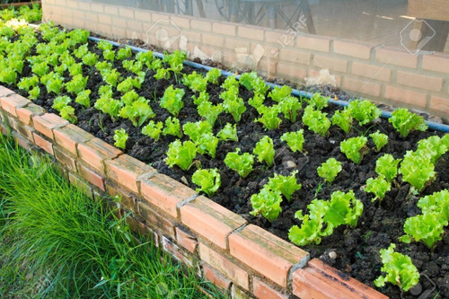 Kit Cultivo 200 Horticolas + Almaciguera + Sustrato + Manual