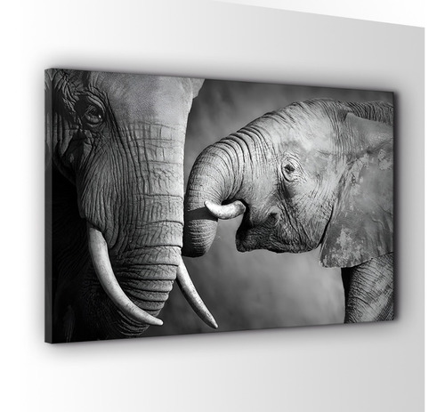 Cuadro Canvas Beso De Elefante Cuadro Para Sala O Recamara