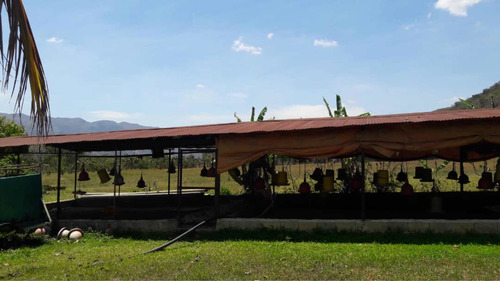 Imagen 6 de 11 de Vendo Espectacular Finca En Chirgua-carabobo (0414-0784274)