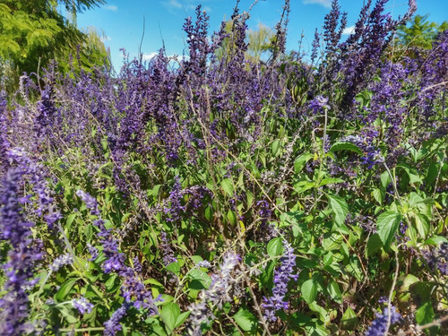 Terreno Lote En Venta Ubicado En Los Alisos, Nordelta