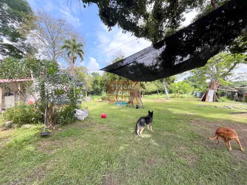 Villa Gorgona, 12.800 M2, Finca En Venta