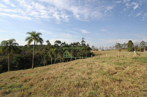 Imagem 22 de 30 de Sítio Com 5 Dormitórios À Venda, 100000 M² Por R$ 1.500.000,00 - Zona Rural - Ibiúna/sp - Si0045