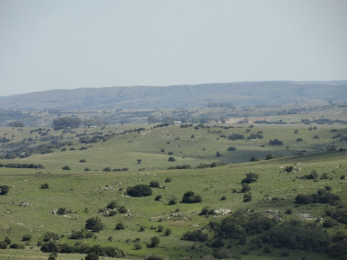 Campo En Venta En La Coronilla